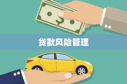 漾濞贷款风险管理