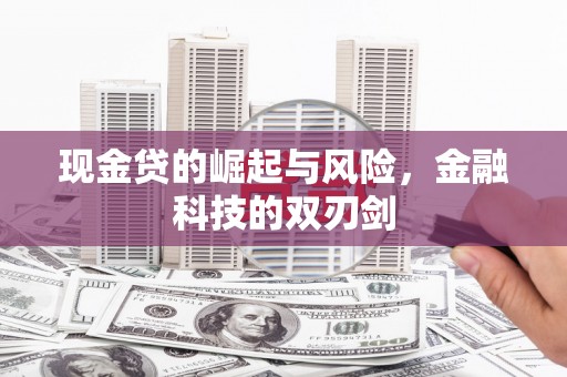 望奎现金贷的崛起与风险，金融科技的双刃剑