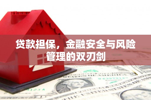 西畴贷款担保，金融安全与风险管理的双刃剑
