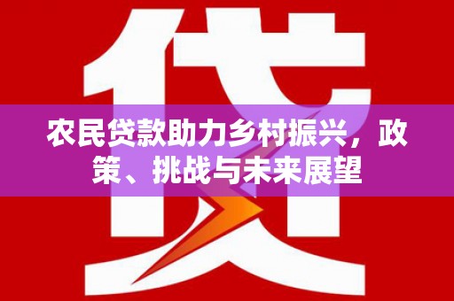 广河农民贷款助力乡村振兴，政策、挑战与未来展望