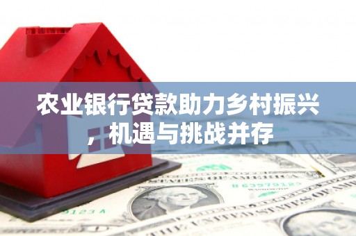江津农业银行贷款助力乡村振兴，机遇与挑战并存