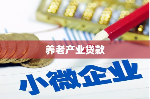 肥西养老产业贷款