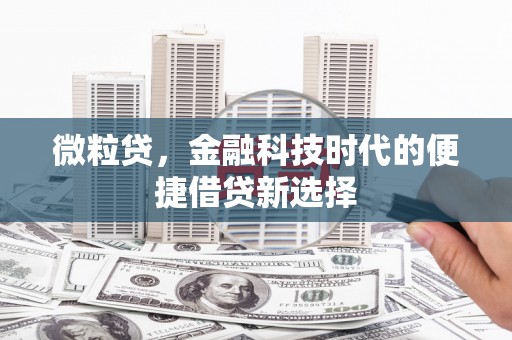 偏关微粒贷，金融科技时代的便捷借贷新选择