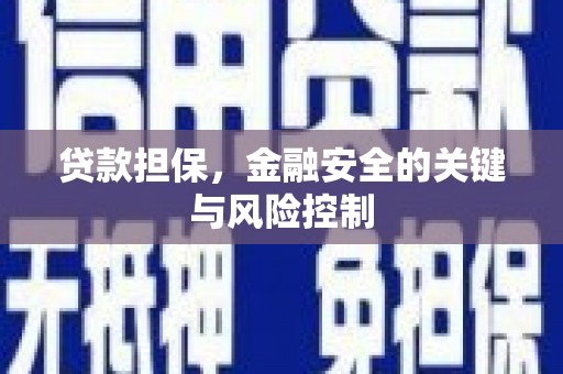 黔东南贷款担保，金融安全的关键与风险控制
