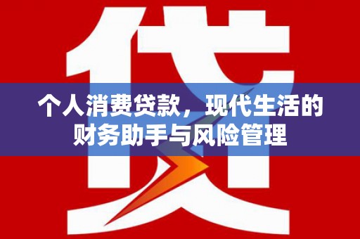 台安个人消费贷款，现代生活的财务助手与风险管理