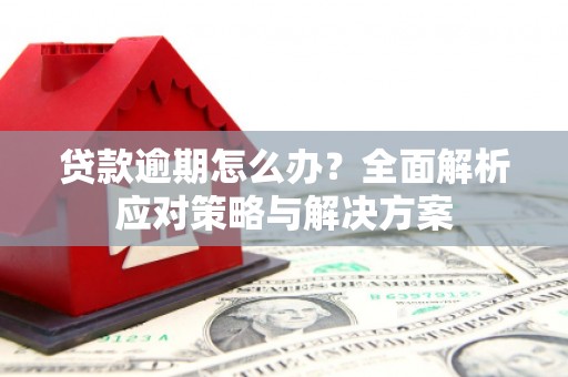 东乡贷款逾期怎么办？全面解析应对策略与解决方案