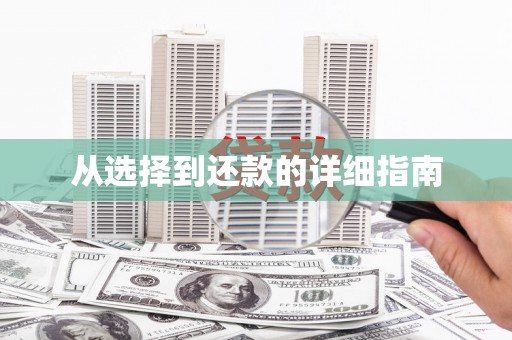 桐城从选择到还款的详细指南