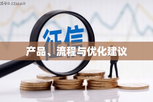 台西产品、流程与优化建议