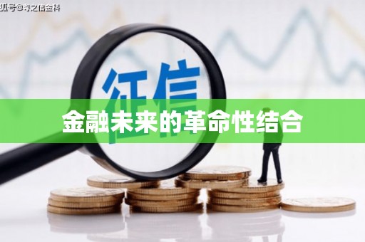 宝山金融未来的革命性结合