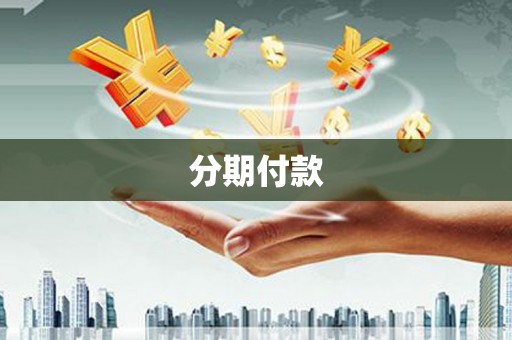 海东分期付款