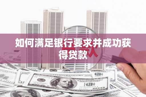 新洲如何满足银行要求并成功获得贷款