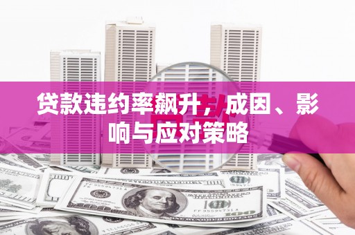 望谟贷款违约率飙升，成因、影响与应对策略